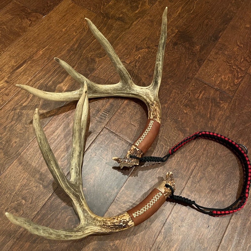 Deer Rattling Antlers - Picture 2 of 5